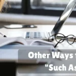 Other Ways To Say Such As